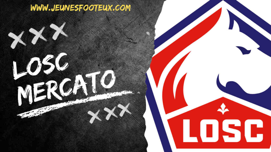 Avant Lille - Lyon, un coup en or à 0€ encore confirmé au LOSC ?