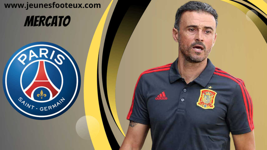 PSG : Luis Enrique valide, le Paris SG tient un joli coup à 28M€ !