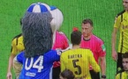 La mascotte de Schalke 04 met un carton rouge à l'arbitre