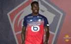 LOSC : Timothy Weah, nouveau coup dur confirmé pour Lille OSC !