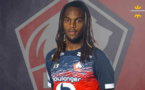 LOSC : Renato Sanches, Pierre Ménès fan du milieu de Lille OSC !