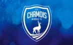 Niort : Sébastien Desabre nouvel entraîneur des Chamois Niortais !