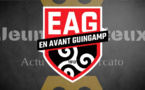 Guingamp : Bertrand Desplat démissionne de son poste de président de l'EAG