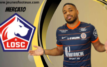 Le LOSC passe à l'action pour Arnaud Nordin (Montpellier HSC) !